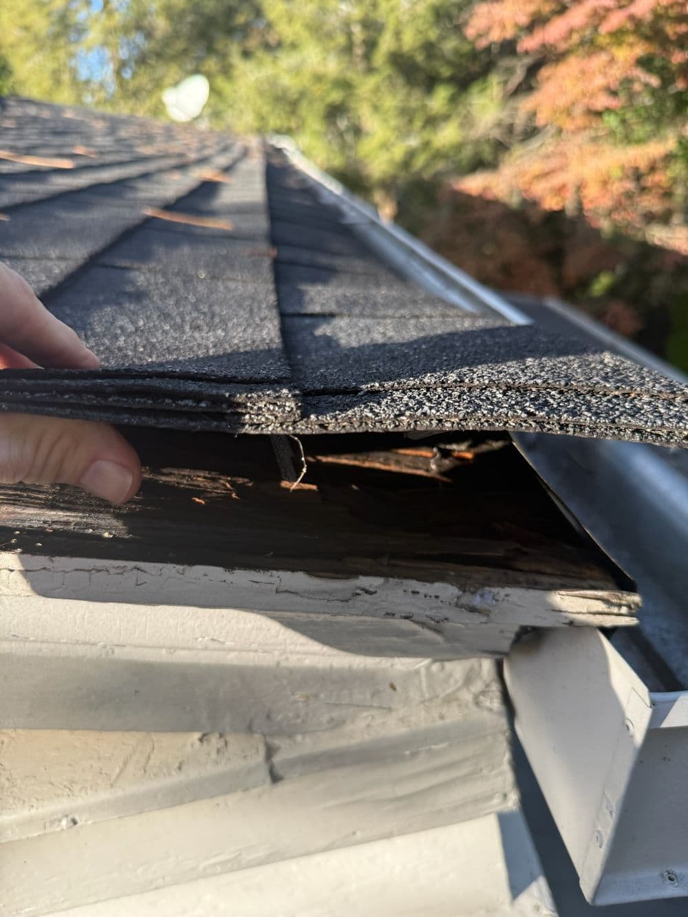 Damaged roof shingles showing wood rot and potential leak near gutter.